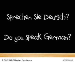 Sprechen Sie Deutsch? Do you speak German?